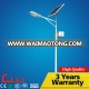 China supply 30W LED solar street light with 5-6m lamp pole